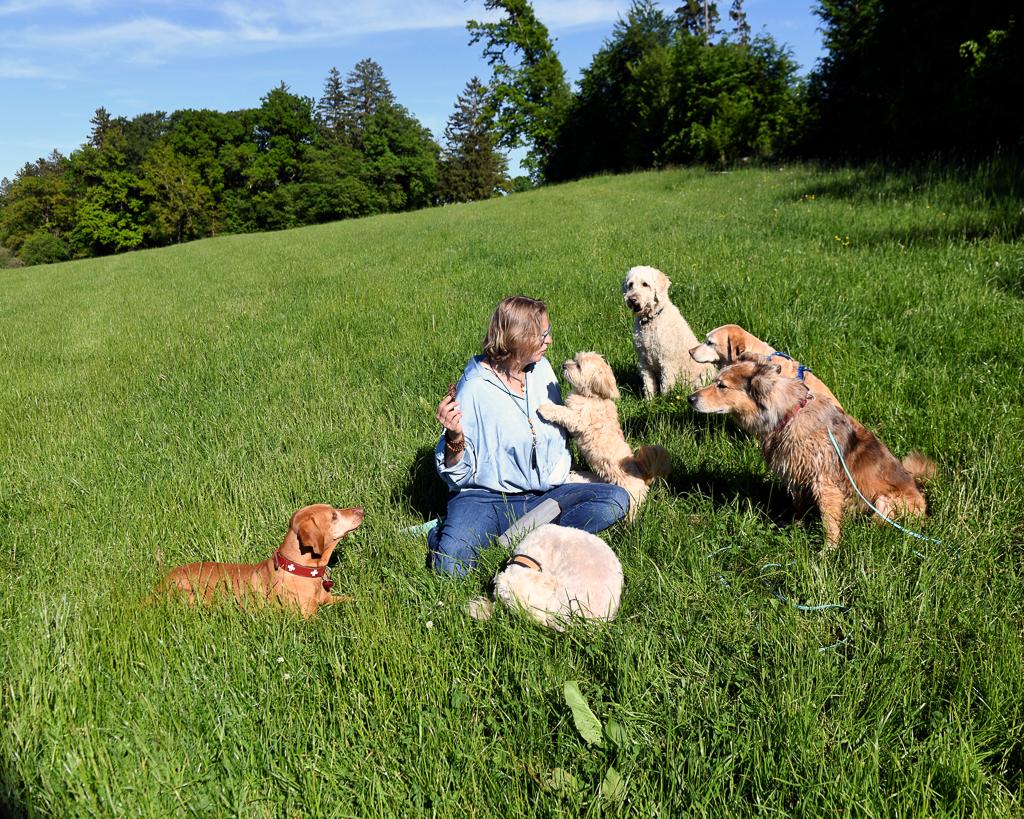 Christiane mit einer Gruppe von Hunden auf einer Wiese sitzend