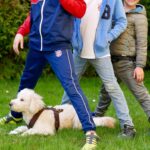 Kinder machen einen Tunnel, Hund darin